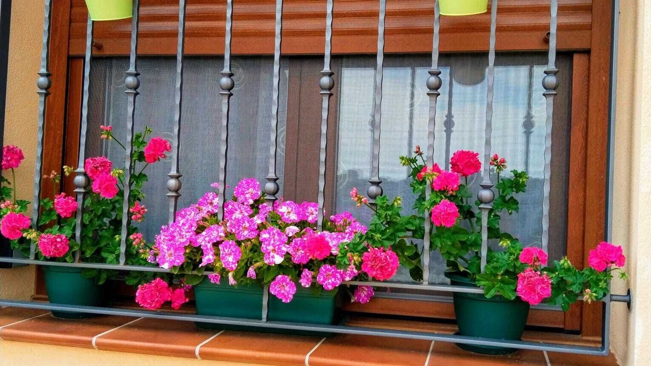 Photo of Outdoor in Lituenigo