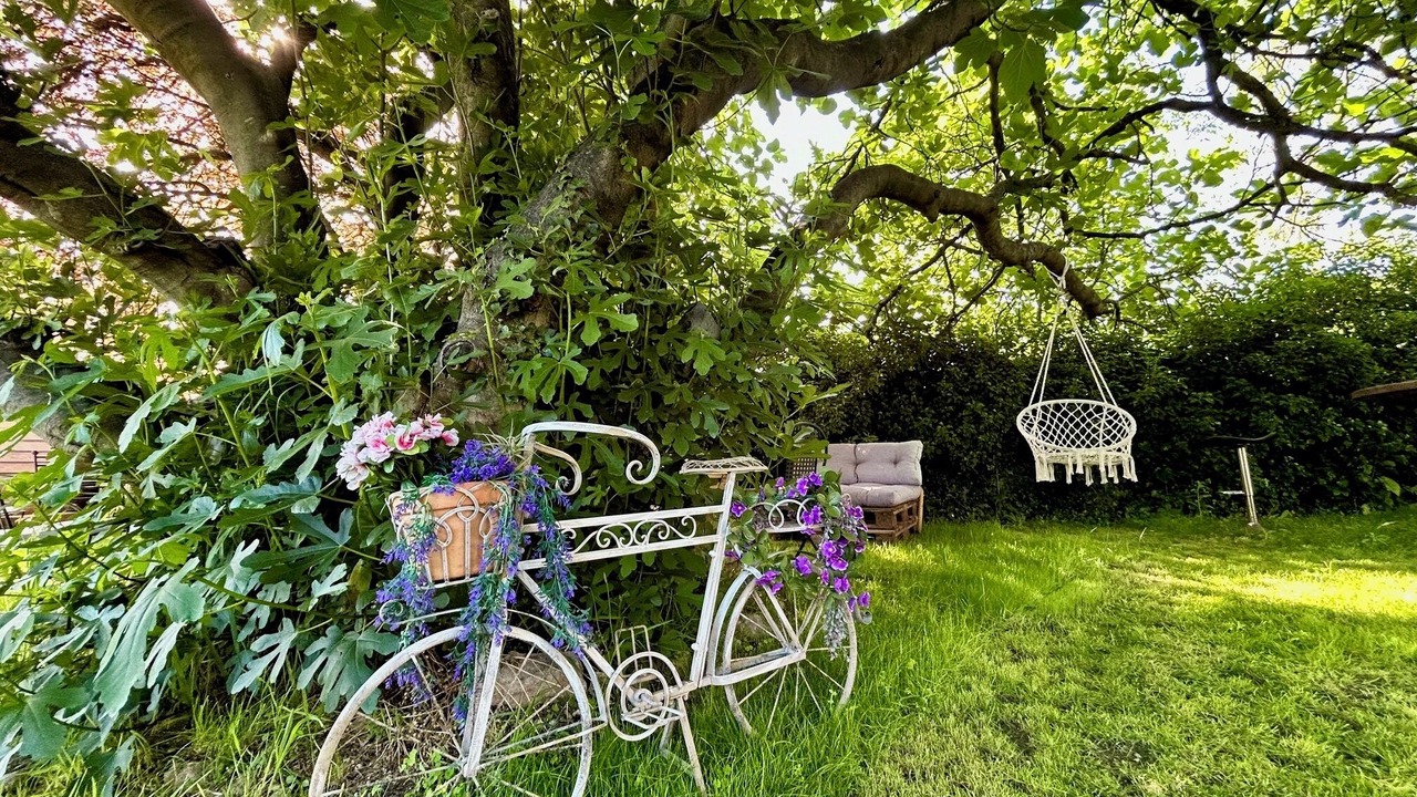 Photo of Outdoor in La Valsiere