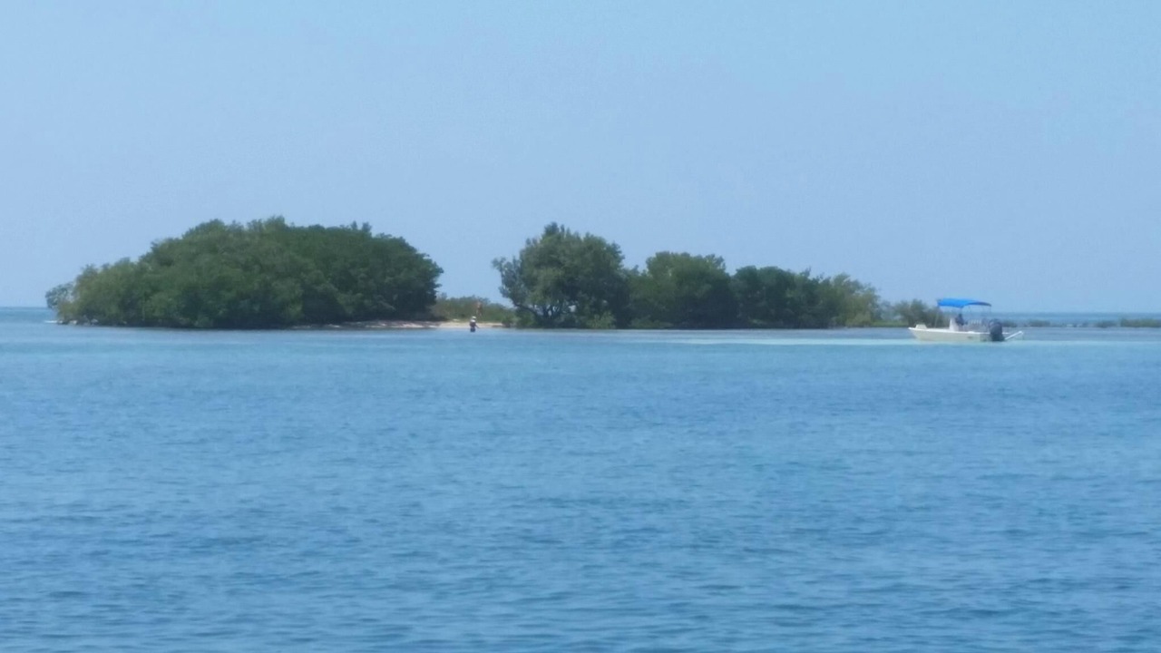 Photo of Others in Little Torch Key