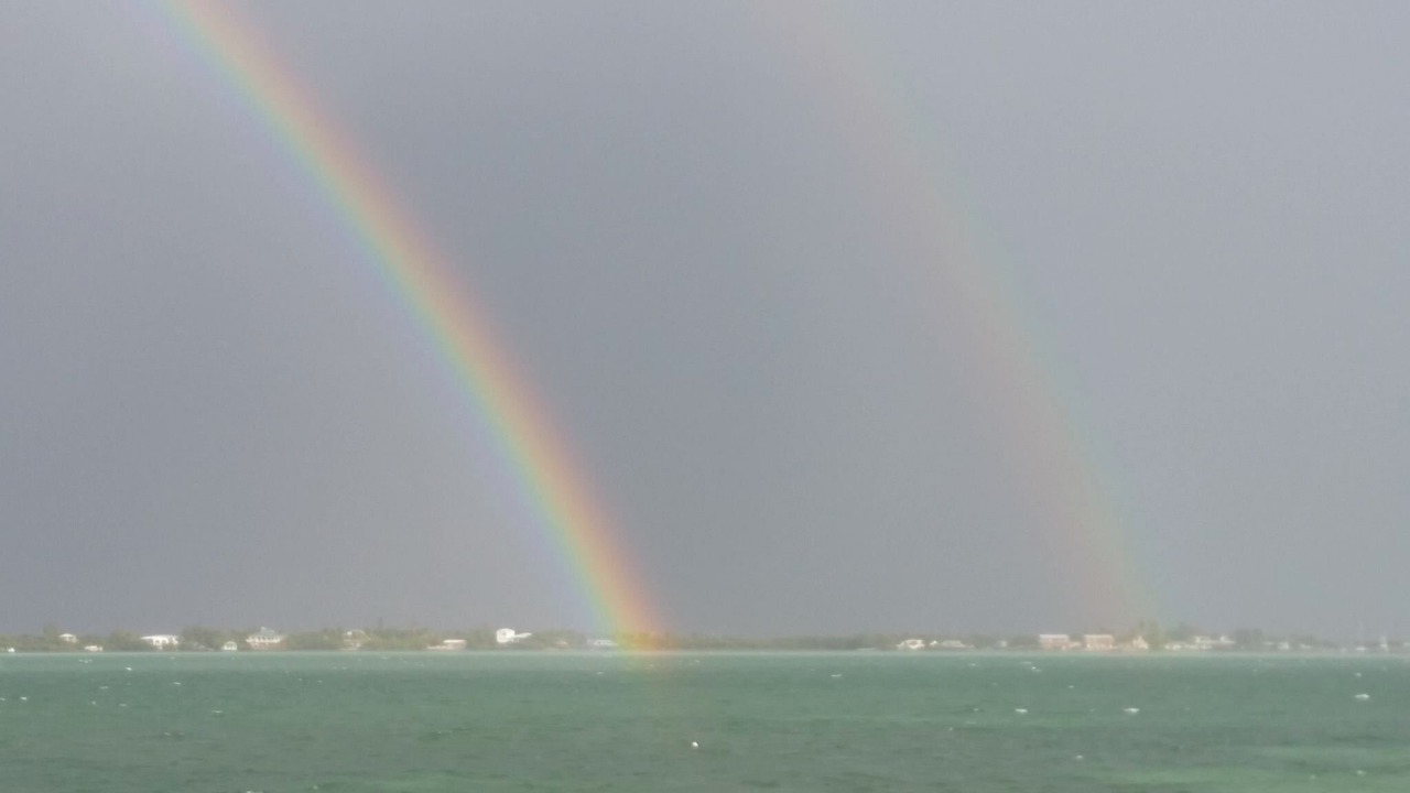 Photo of Outdoor in Little Torch Key