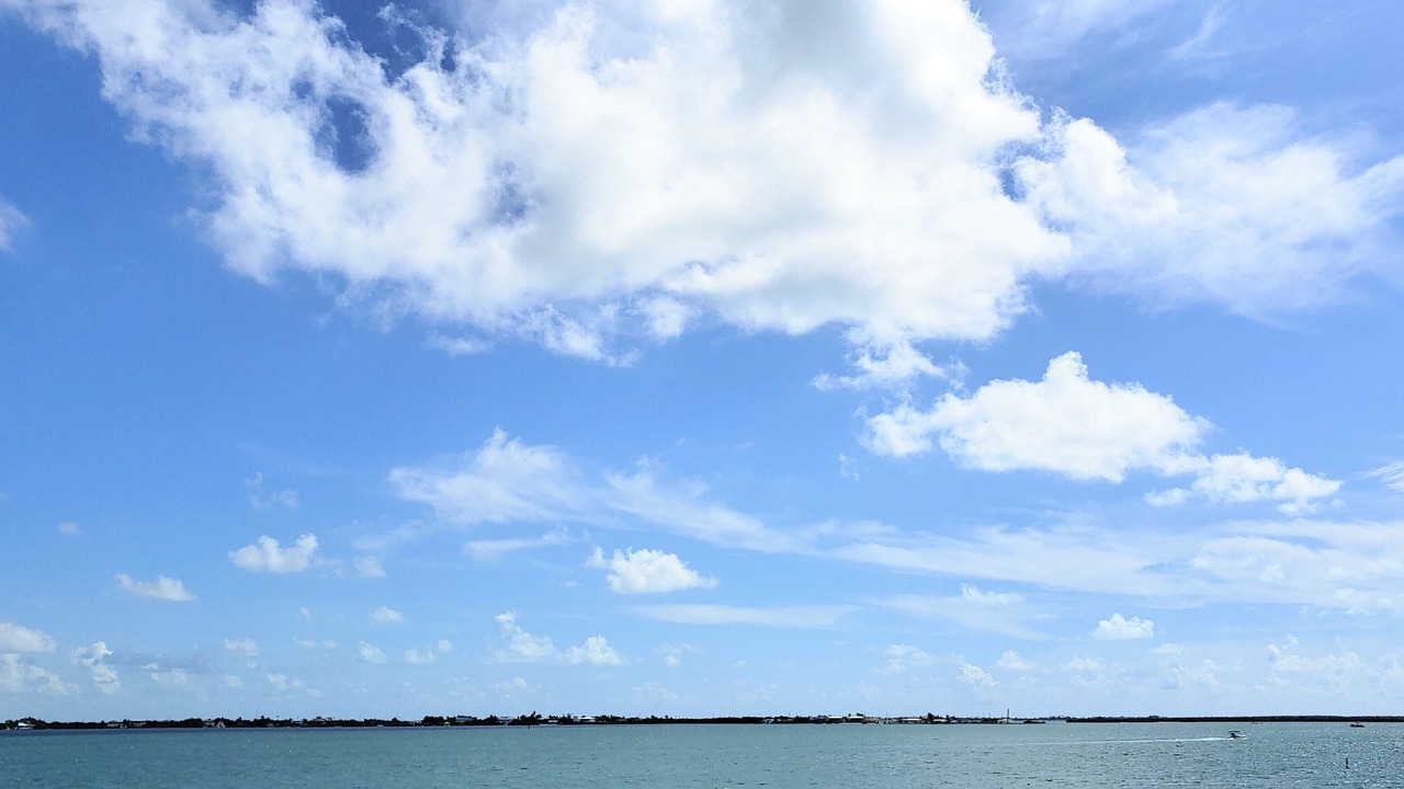 Photo of Others in Little Torch Key