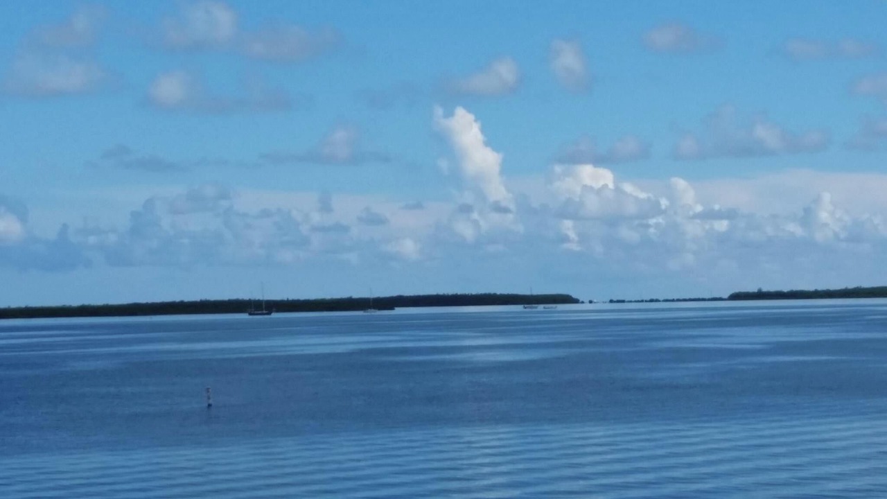 Photo of Others in Little Torch Key