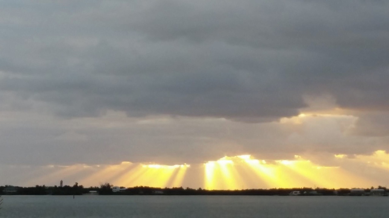 Photo of Others in Little Torch Key