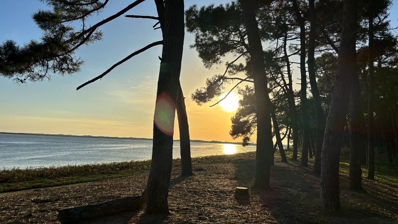 Photo of Others in Les Mathes