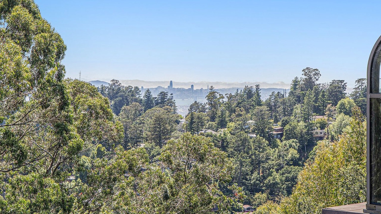 Photo of Outdoor in Forestland