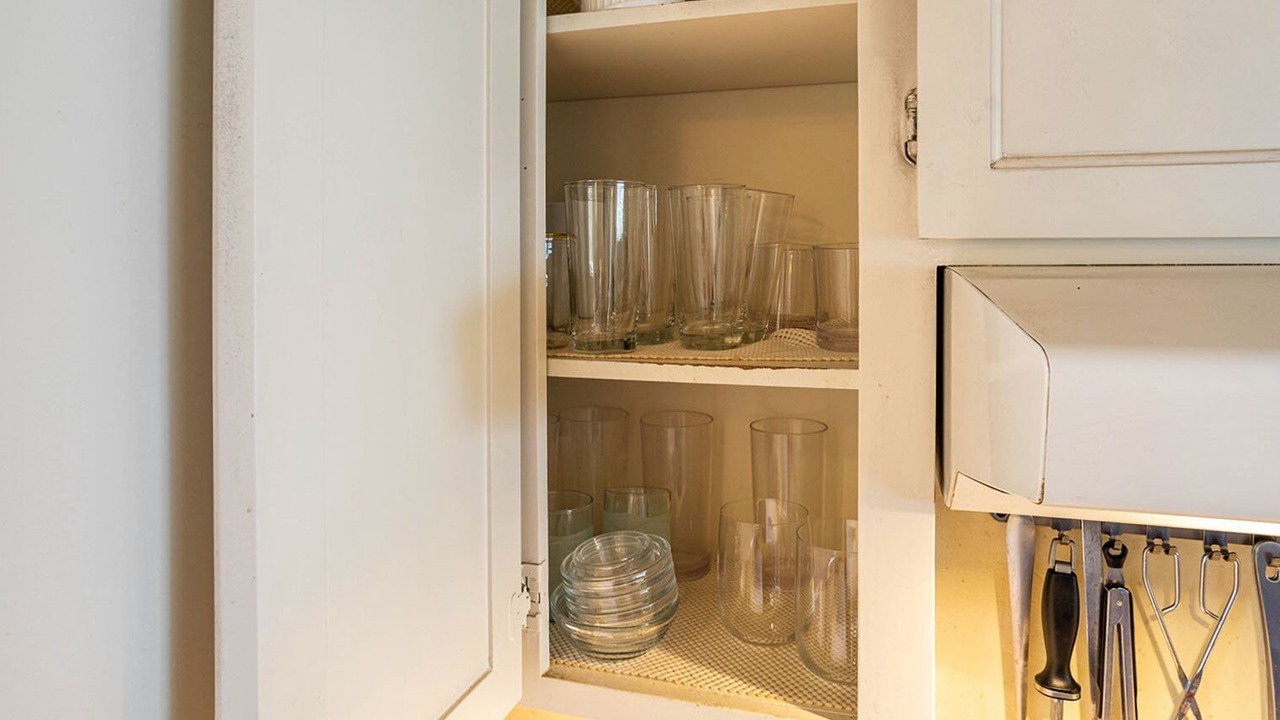 Photo of Others in Forestland