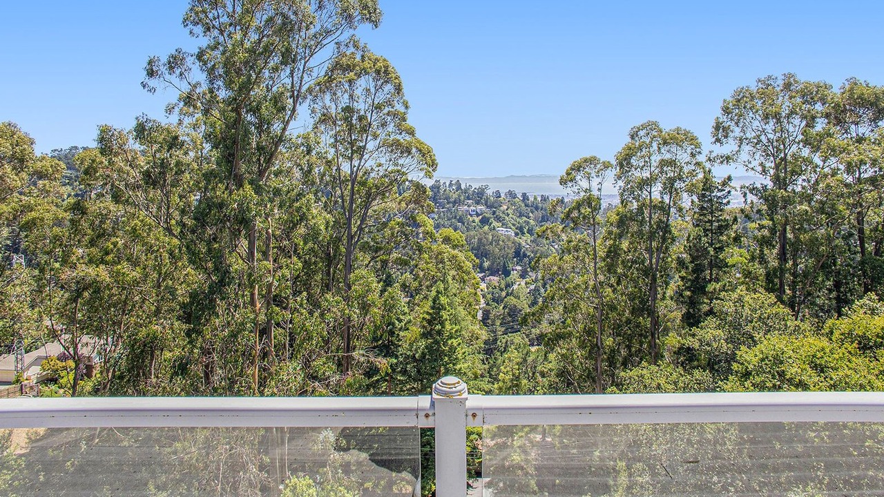 Photo of Outdoor in Forestland