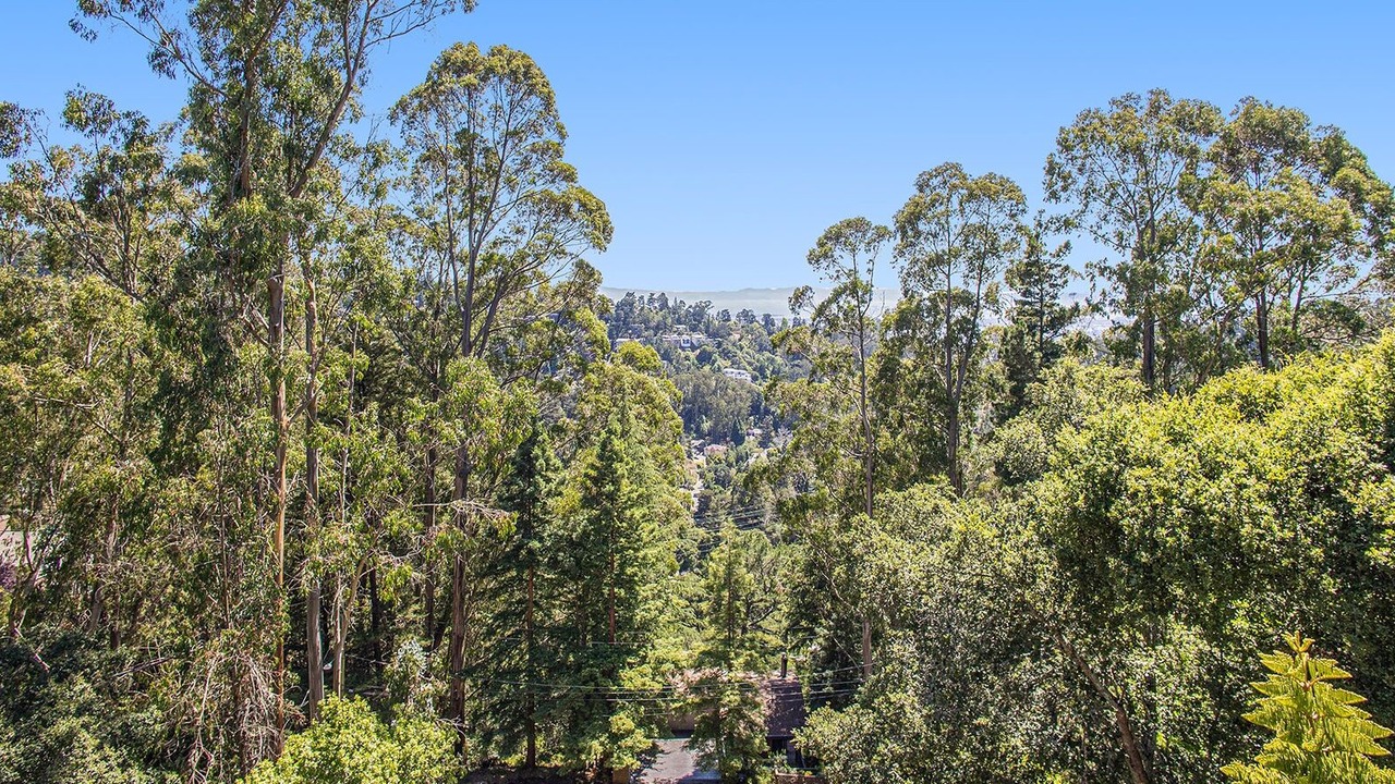 Photo of Others in Forestland