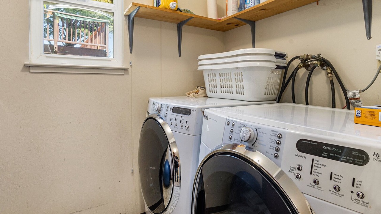 Photo of Others in Forestland