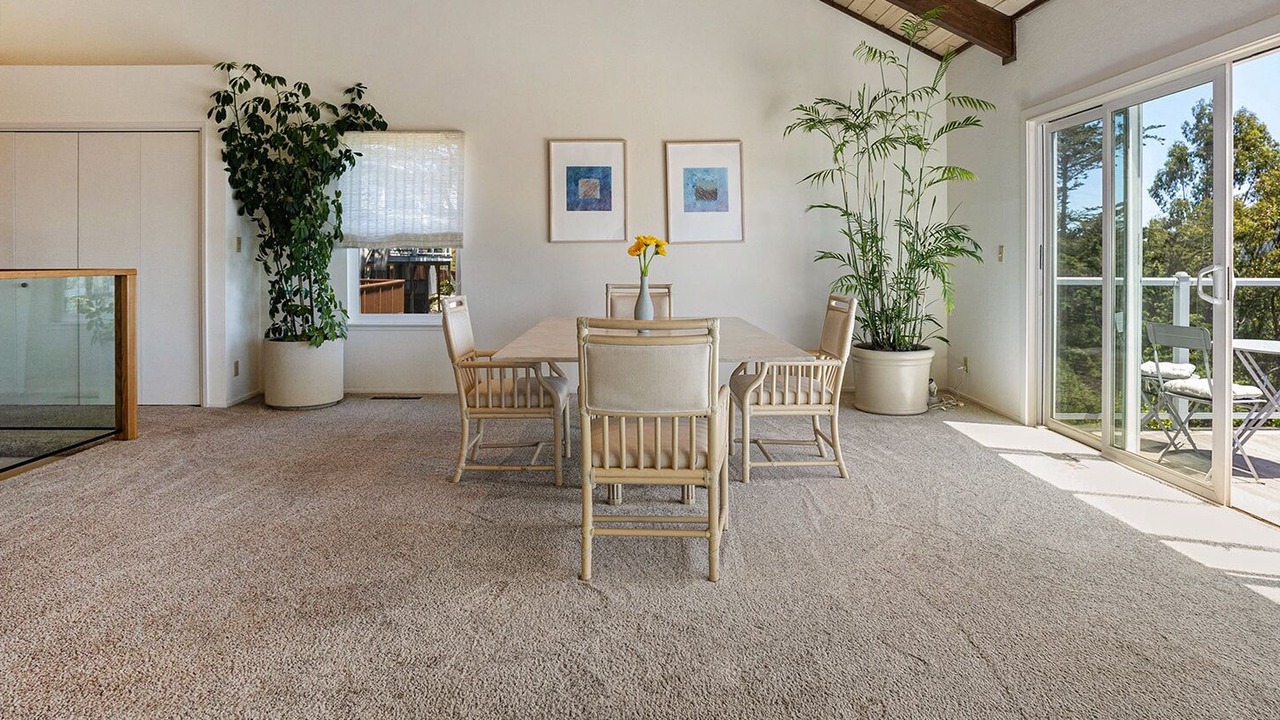 Photo of Others in Forestland