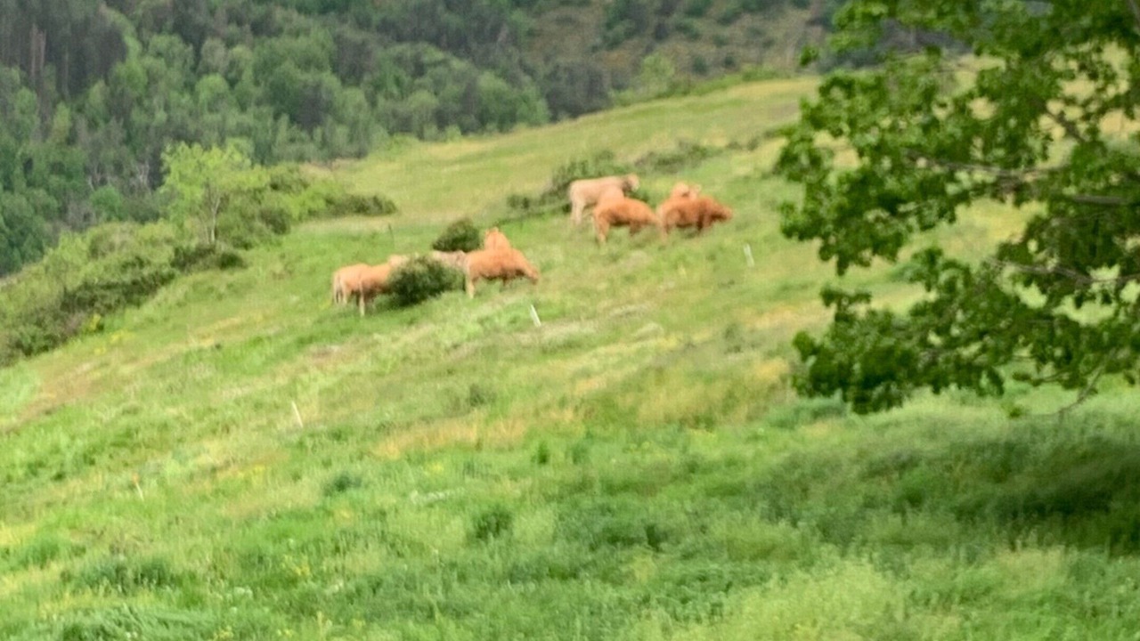 Photo of Others in Pebrac