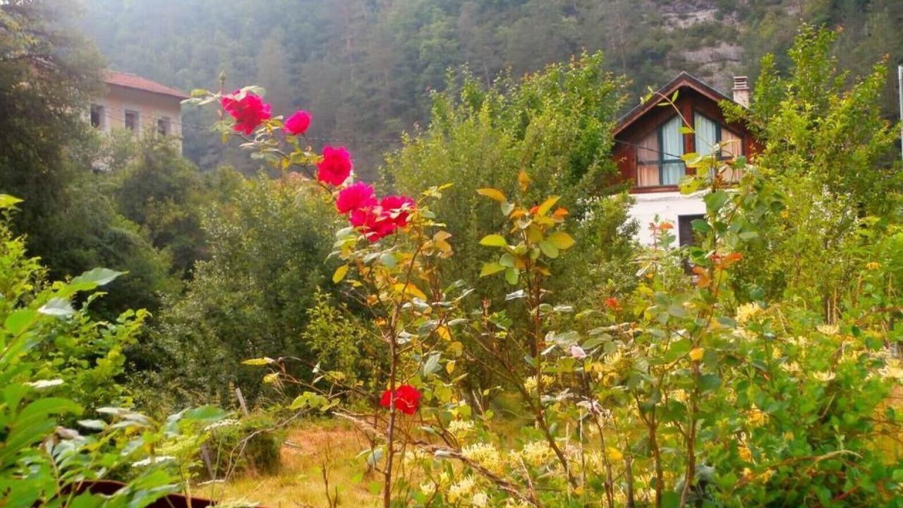 Photo of Outdoor in Uztarroz