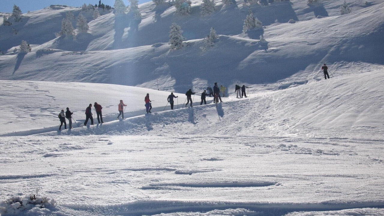 Photo of Others in Uztarroz