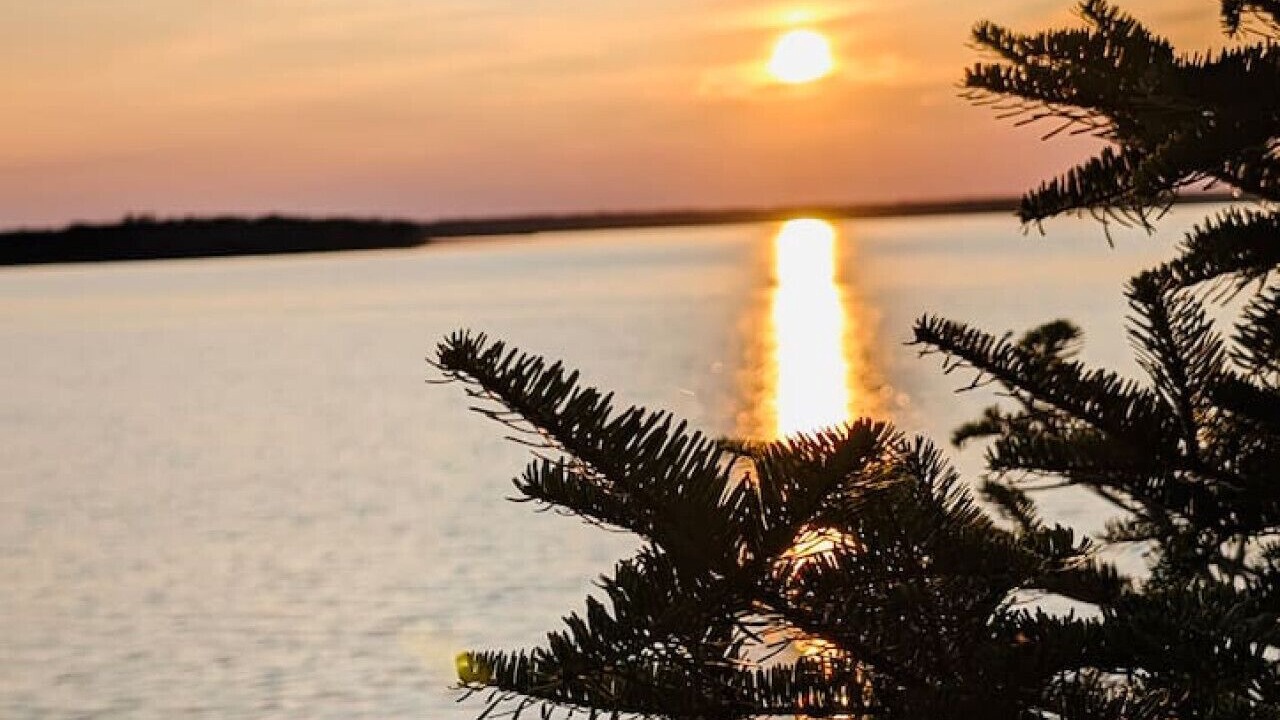 Photo of Others in Lot 61