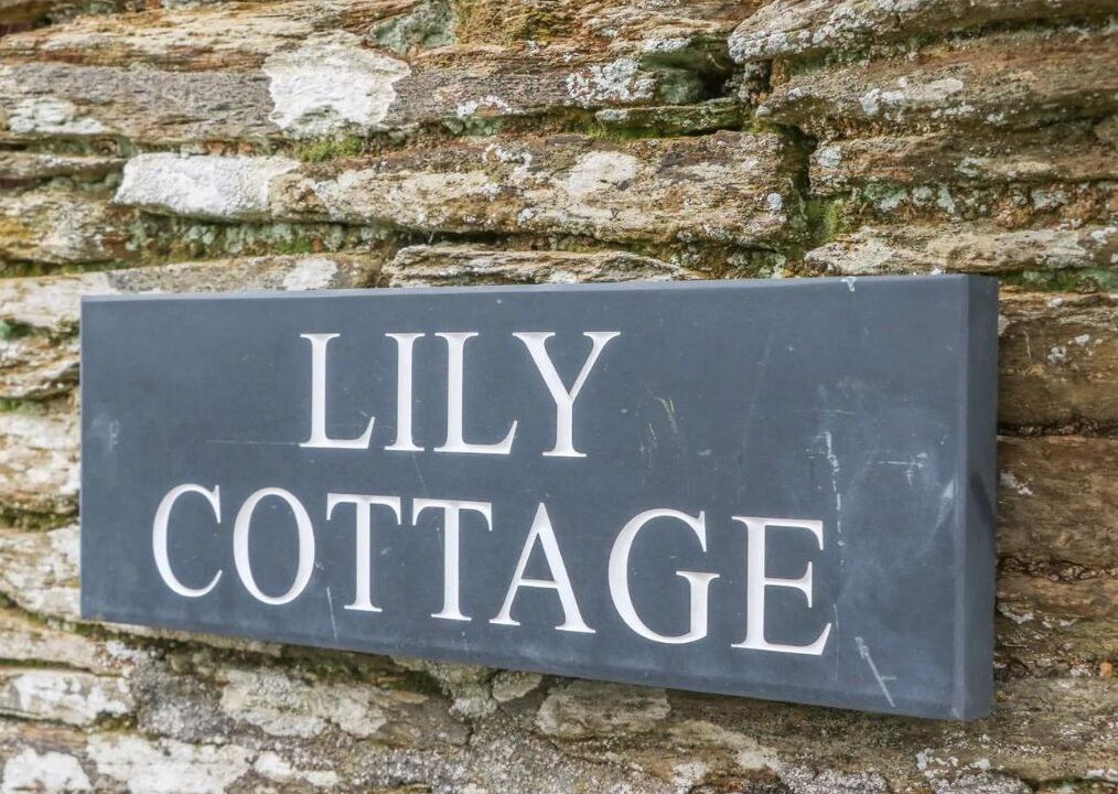 Photo of Others in Pelynt