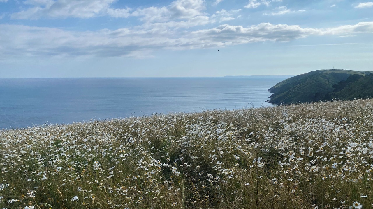 Photo of Outdoor in Pelynt