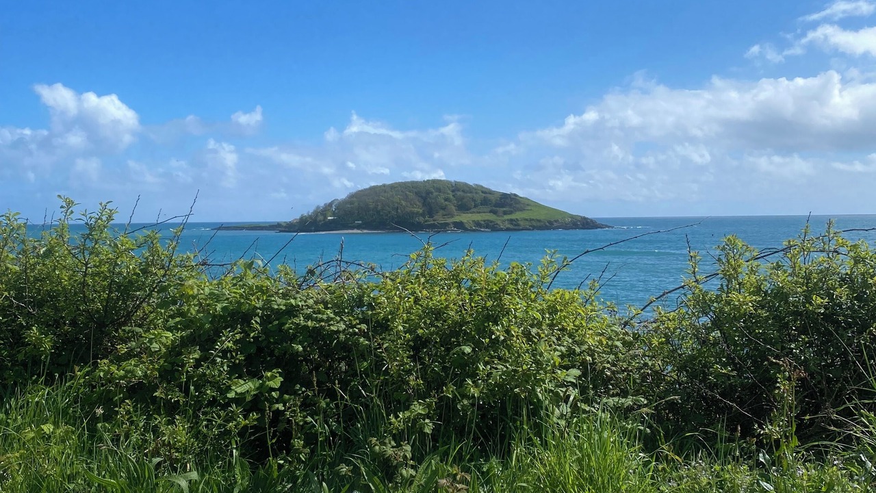 Photo of Others in Pelynt