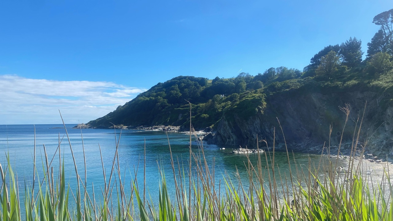 Photo of Others in Pelynt