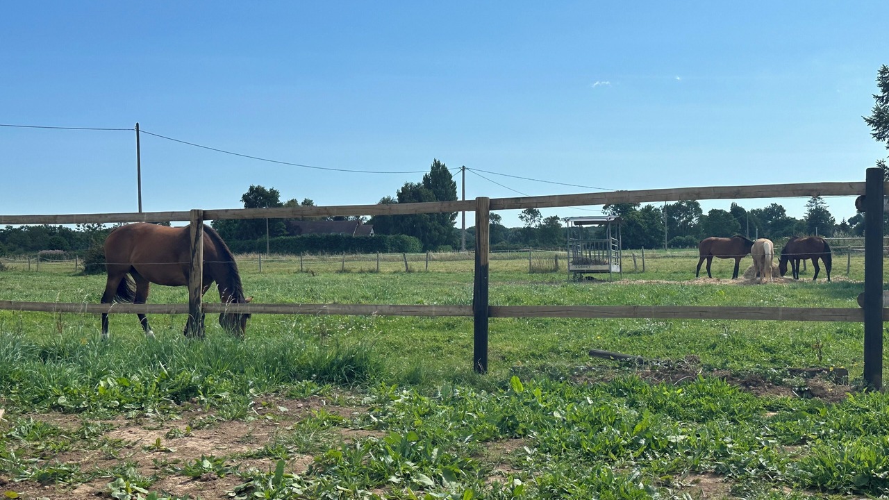Photo of Outdoor in Gonneville-en-Auge