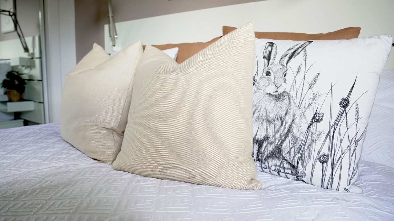 Photo of Others in Coatbridge