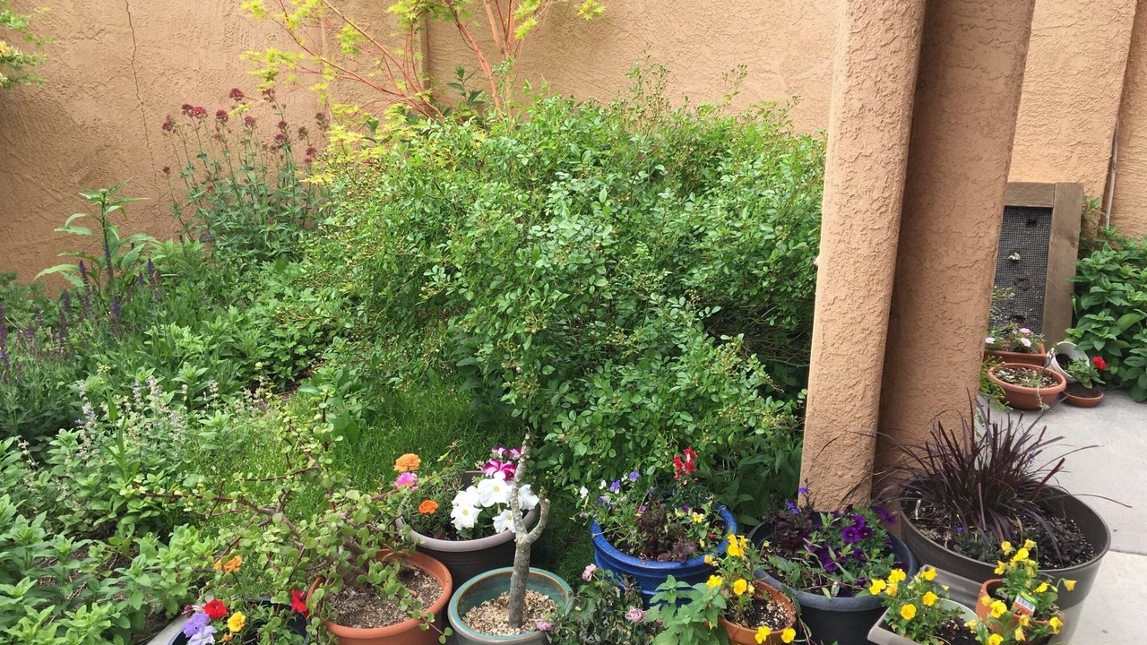Photo of Outdoor in La Luz Del Sol