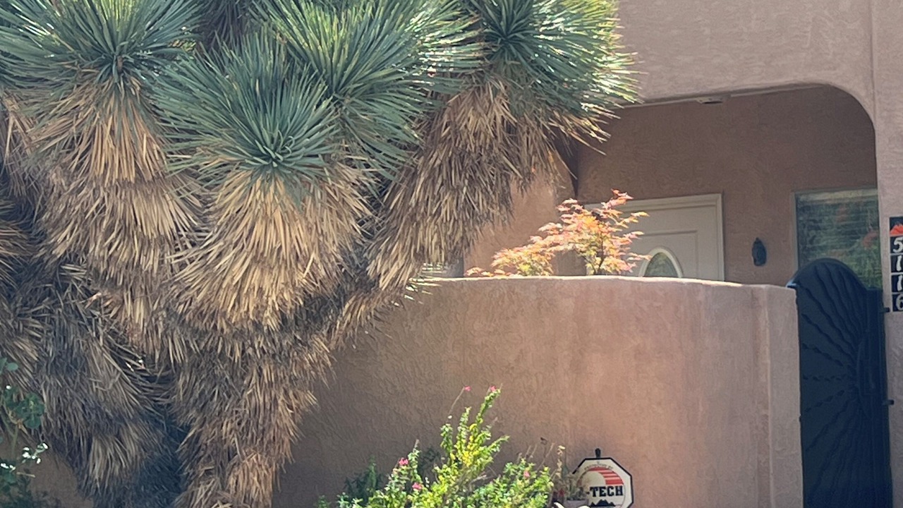 Photo of Outdoor in La Luz Del Sol