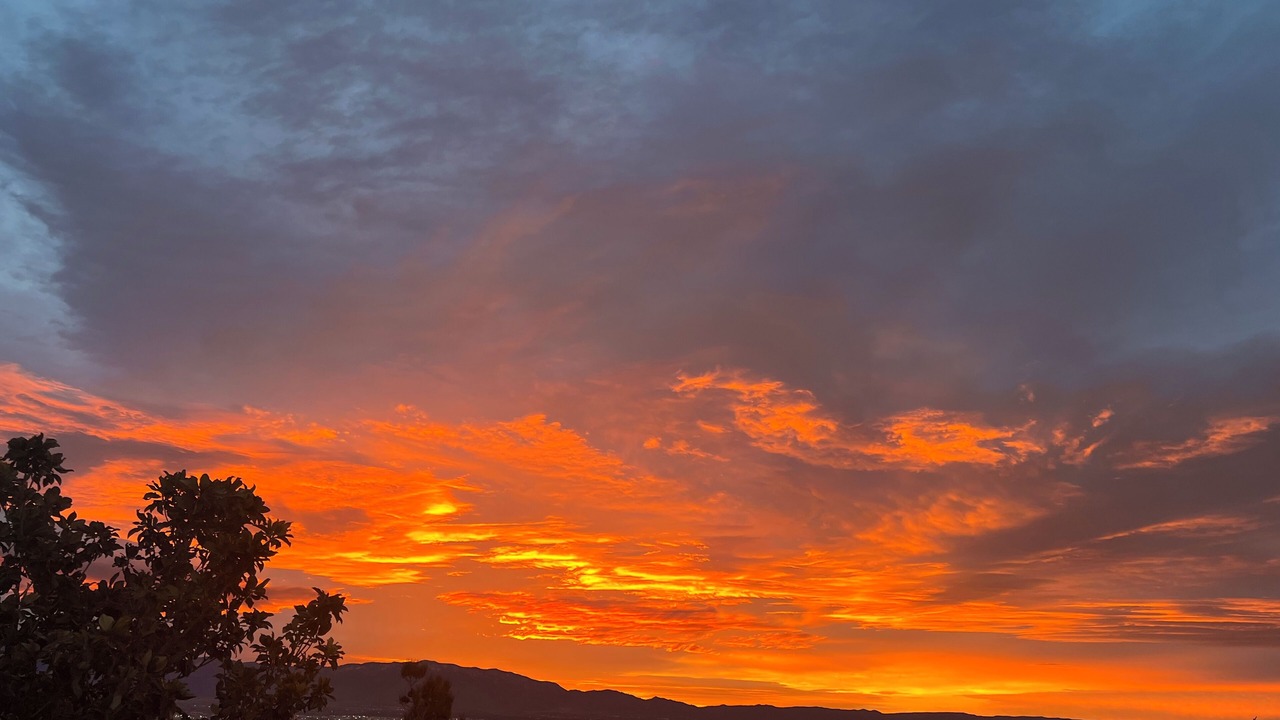 Photo of Outdoor in La Luz Del Sol