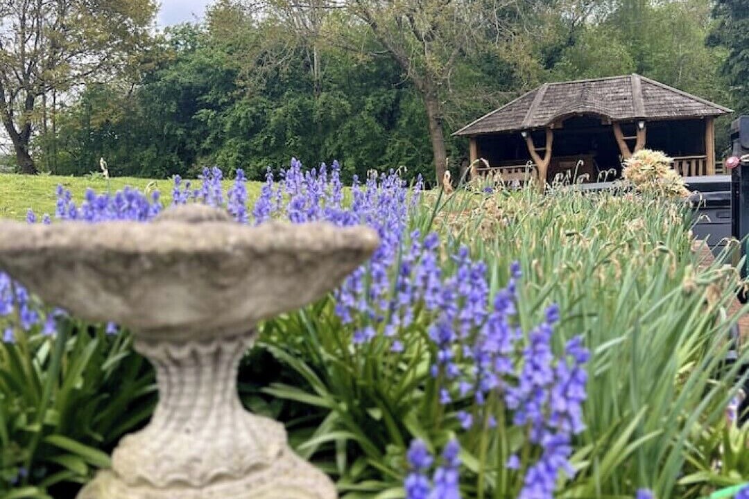 Photo of Outdoor in Charing