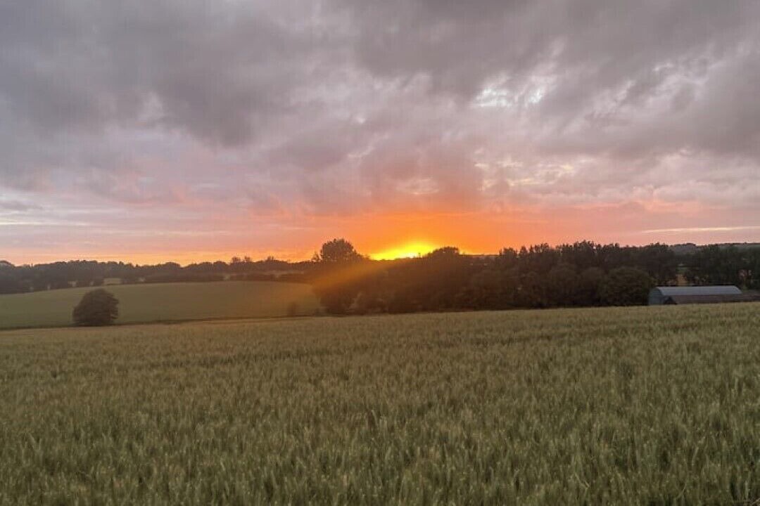 Photo of Outdoor in Charing