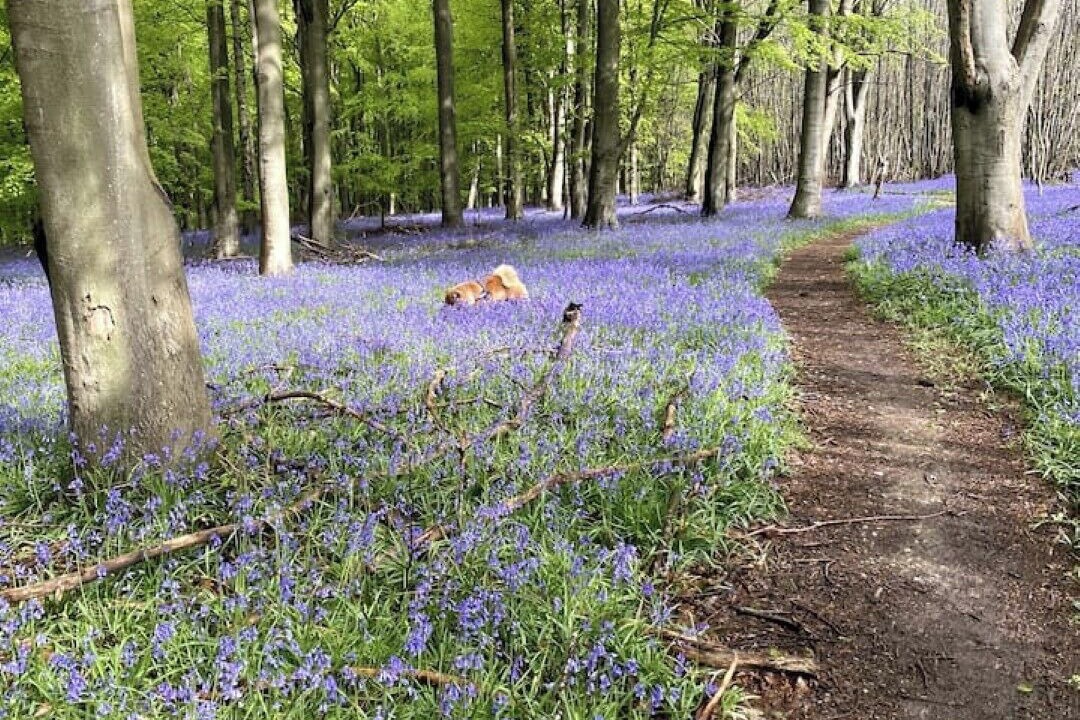 Photo of Others in Charing