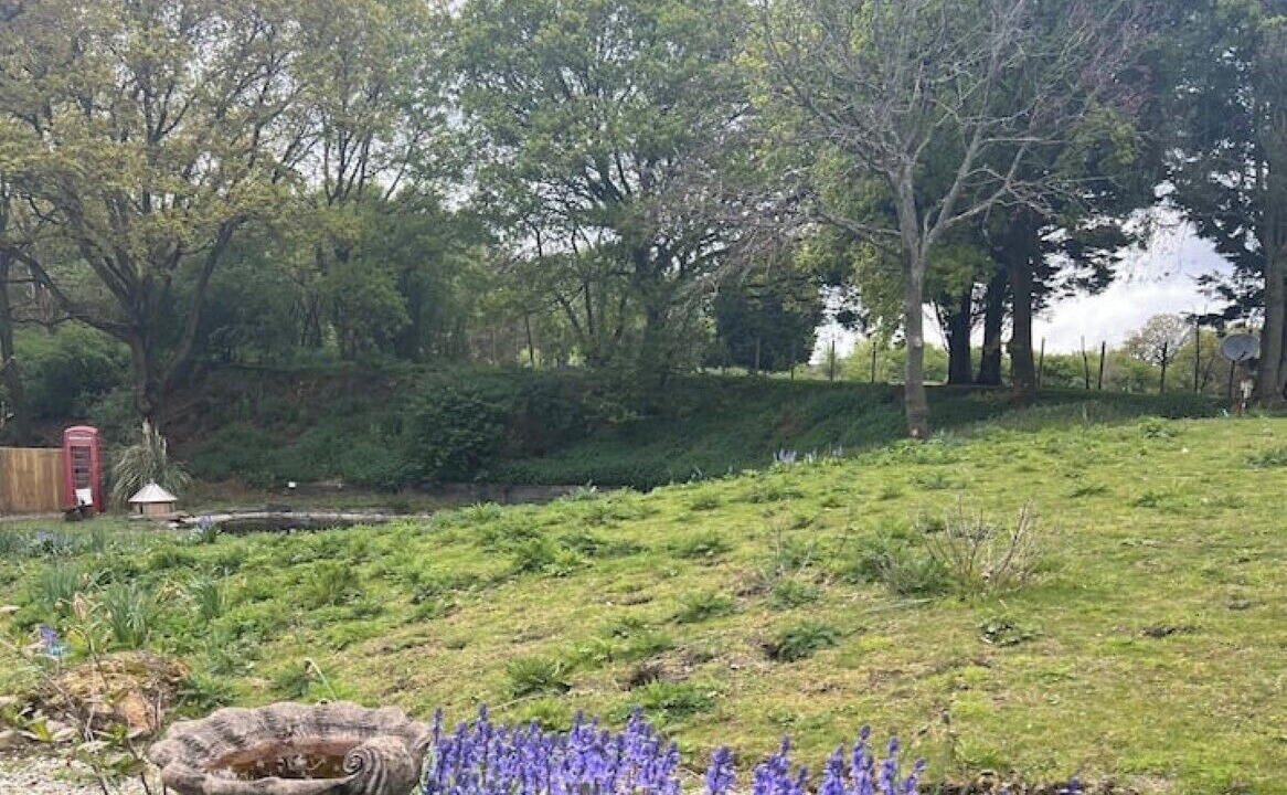 Photo of Outdoor in Charing