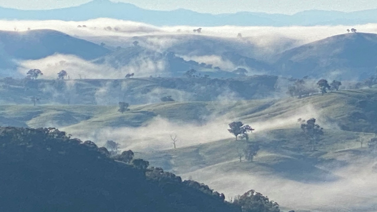 Photo of Others in Terip Terip