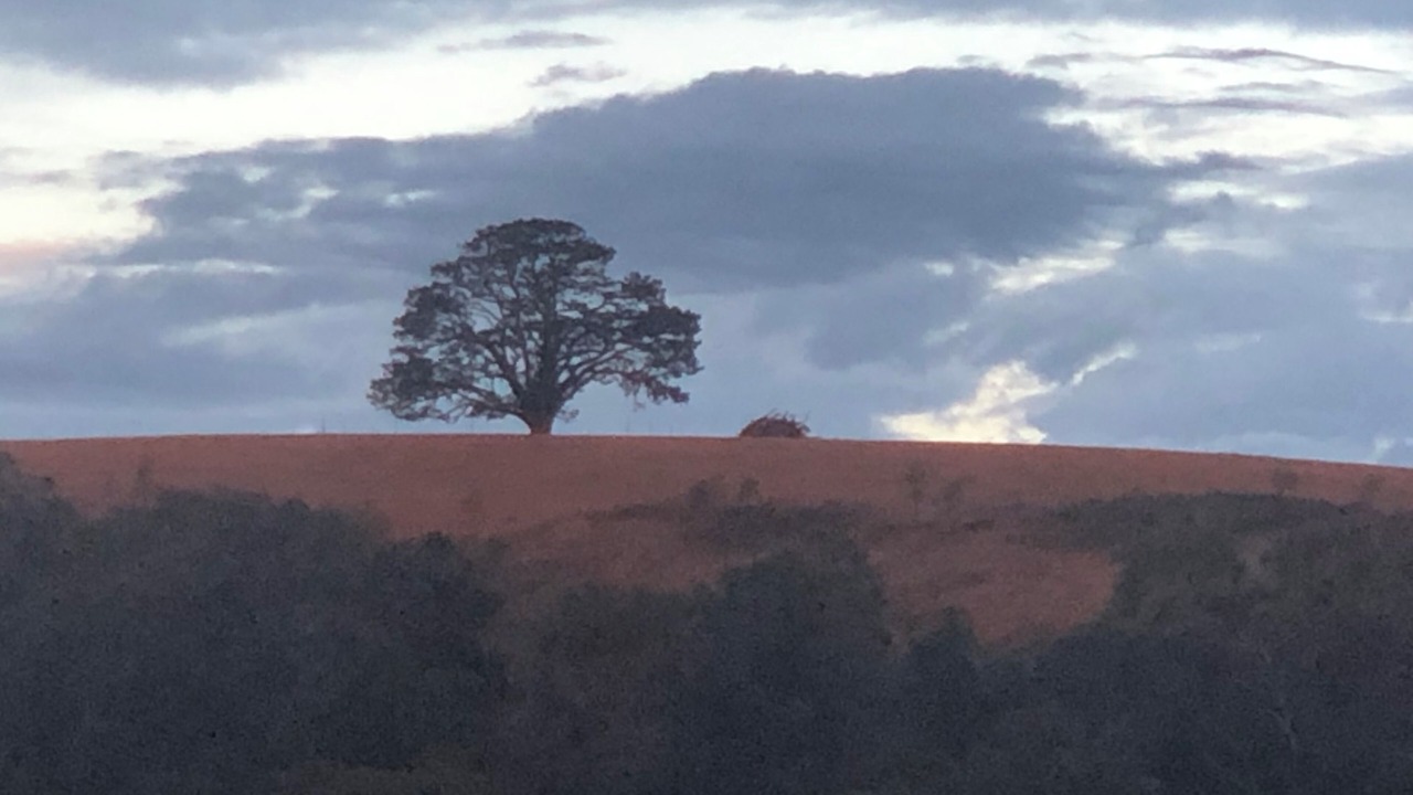 Photo of Others in Terip Terip