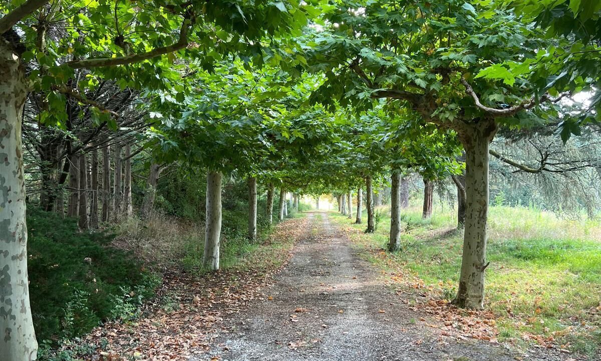 Photo of Others in Laplume