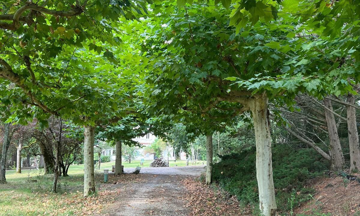 Photo of Others in Laplume