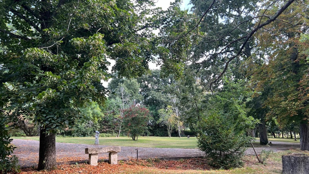 Photo of Outdoor in Laplume