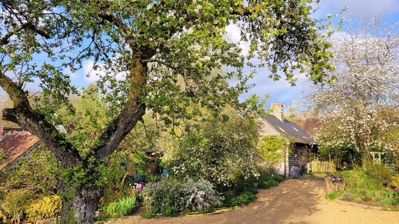 Photo of Outdoor in Sainte-Opportune