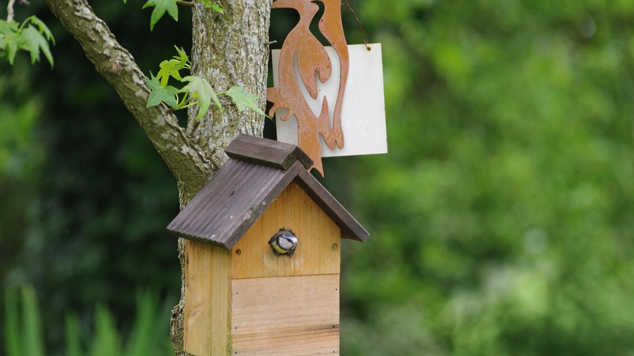 Photo of Outdoor in Sainte-Opportune