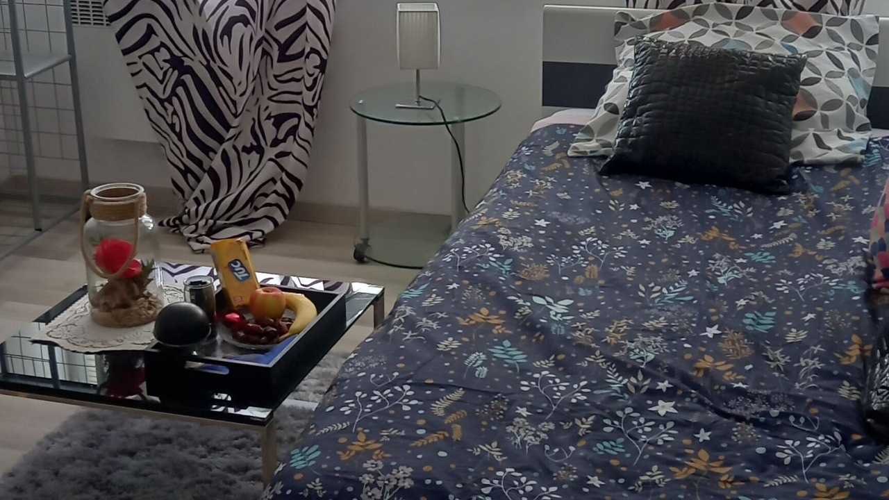 Photo of Bedroom in Roubaix