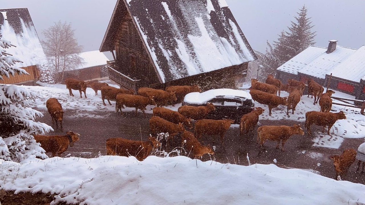Photo of Outdoor in Saint-Lary-Soulan
