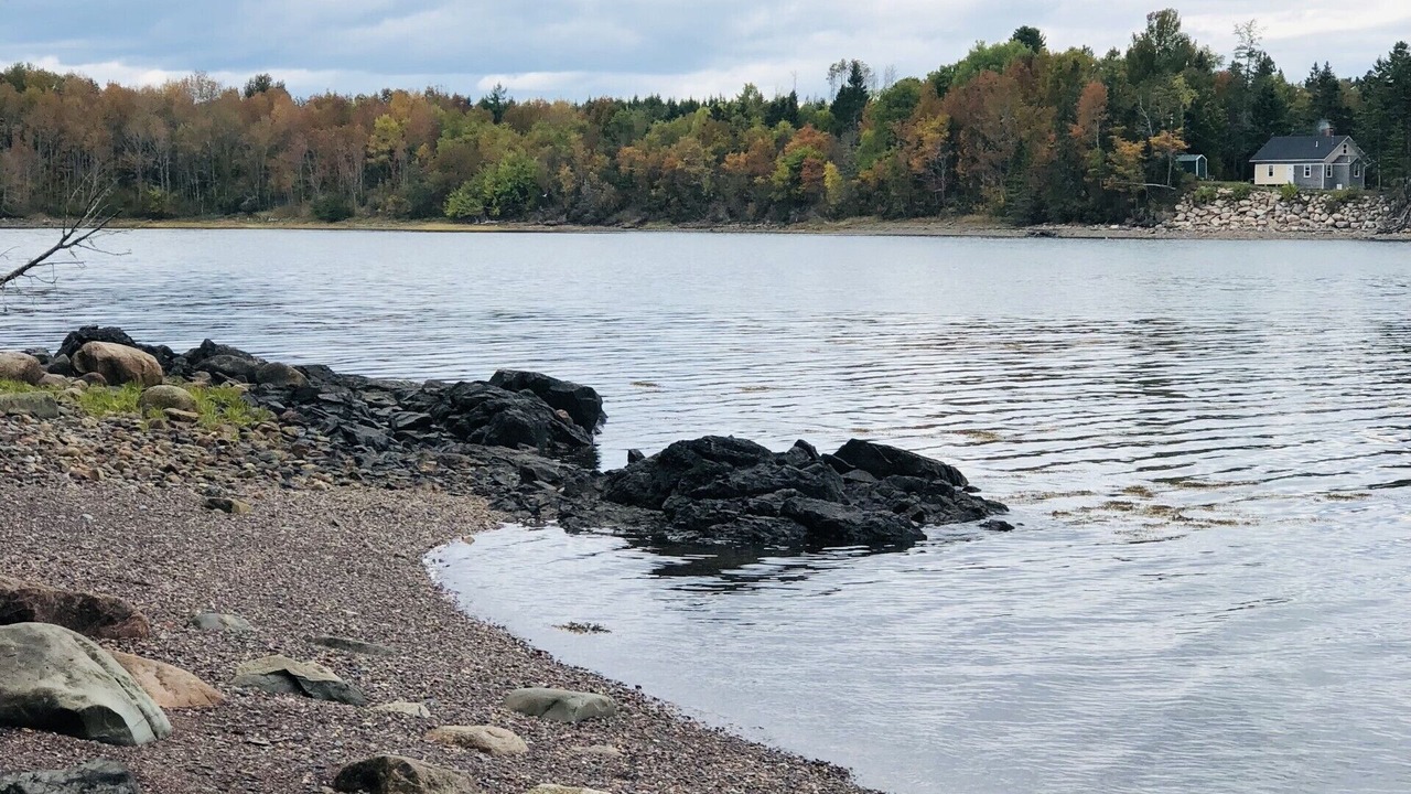 Photo of Others in Robbinston
