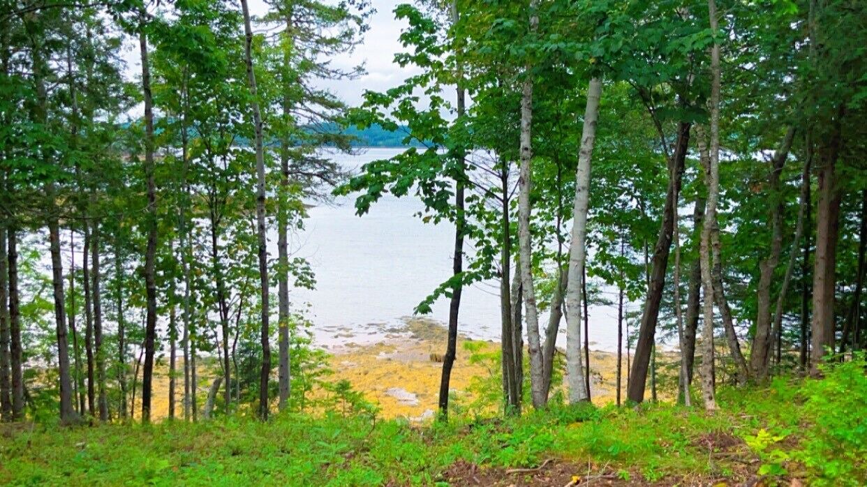 Photo of Outdoor in Robbinston