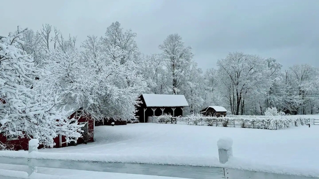 Photo of Outdoor in Prattsville
