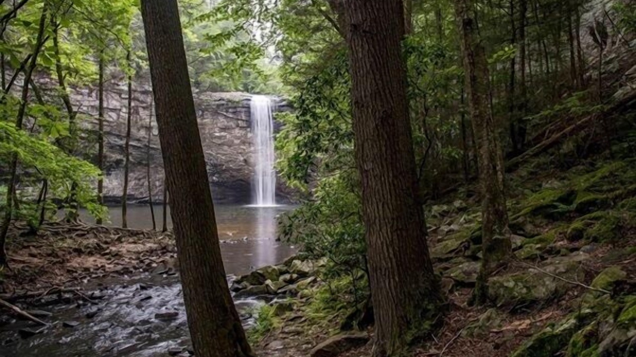 Photo of Others in Monteagle