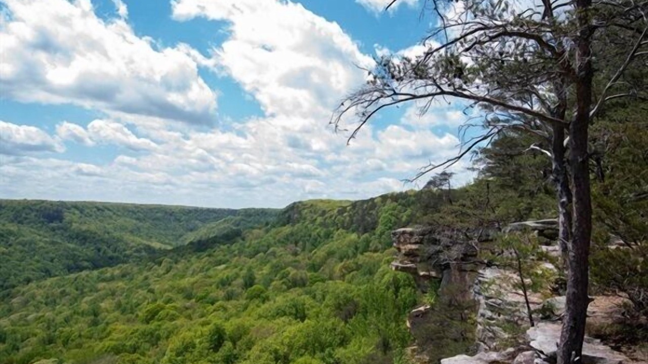 Photo of Others in Monteagle
