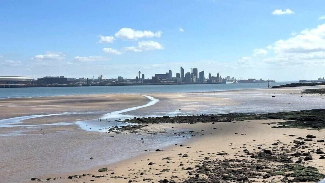 Photo of Others in New Brighton