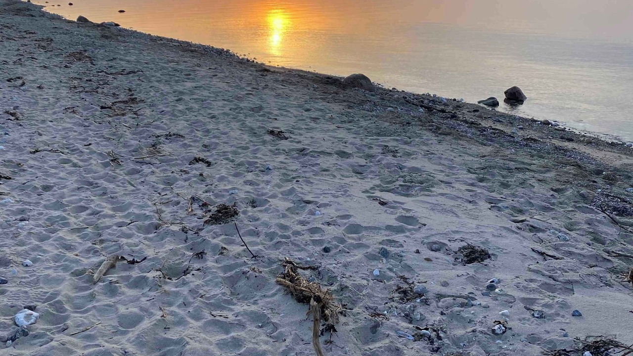 Photo of Others in Skastrup Strand