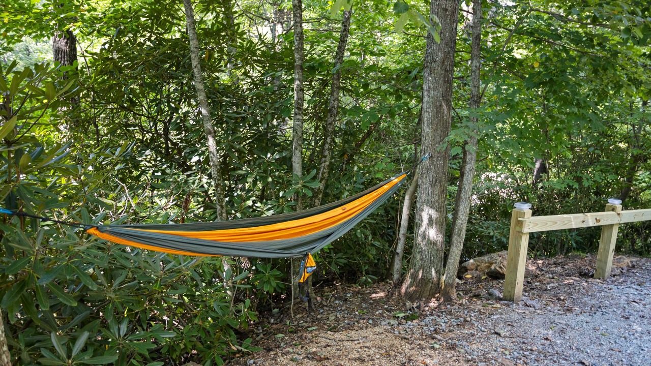 Photo of Others in Boone