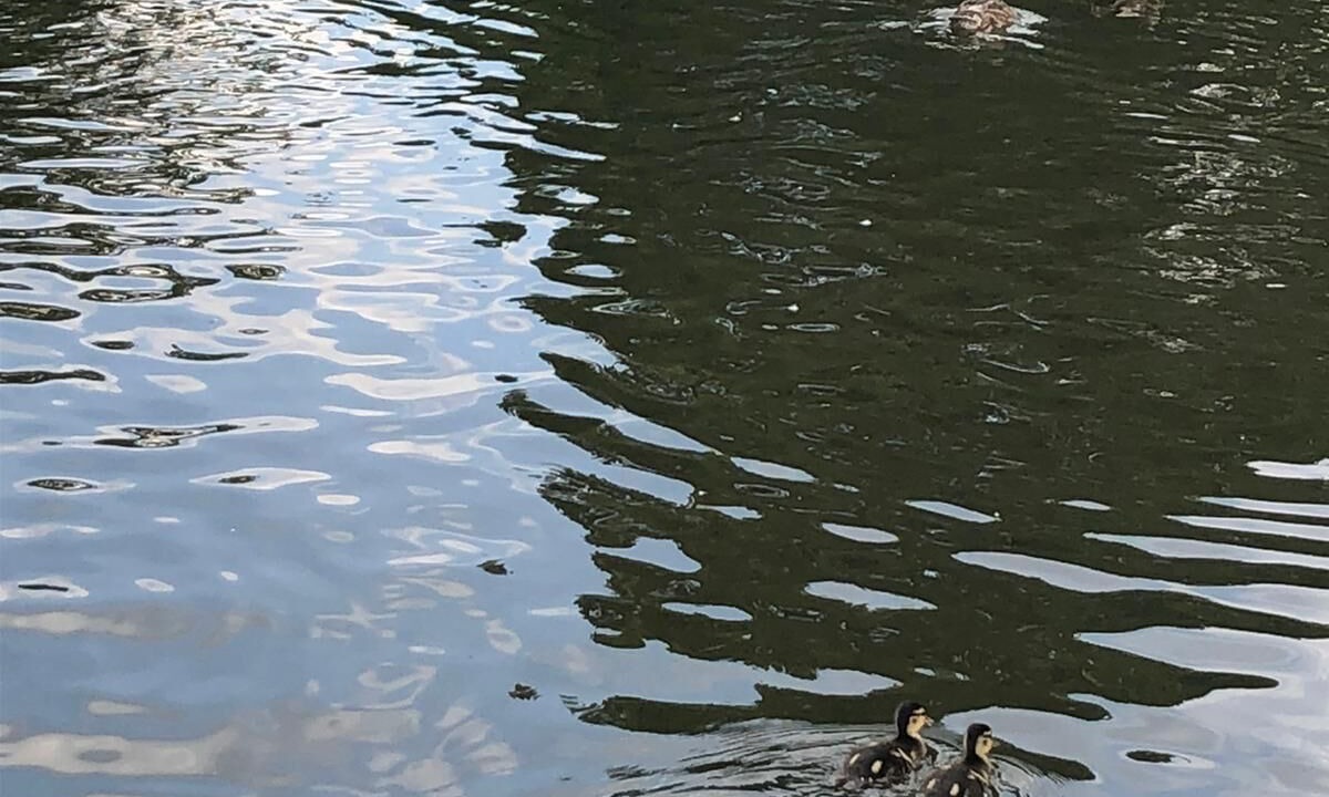 Photo of Others in Nottingham City Centre