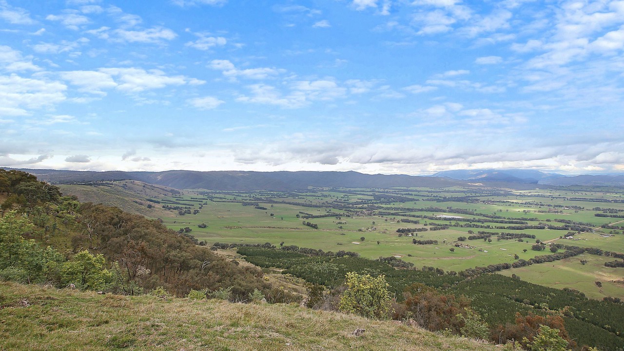 Photo of Others in Murmungee